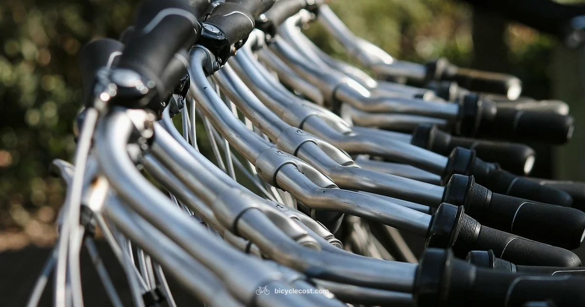 Bike Computer Guide - BicycleCost