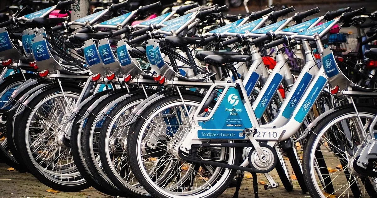 Smart Bike Rentals - BicycleCost