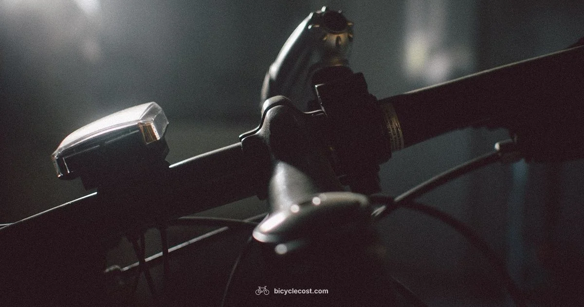 Fix Wheel Wobble - BicycleCost