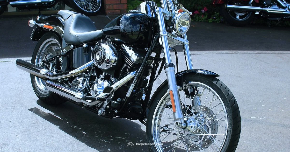 Road Bikes for Sale Road Bikes for Sale - BicycleCost