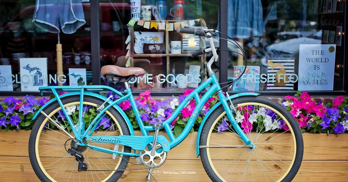 Iconic Bicycle Brands - BicycleCost