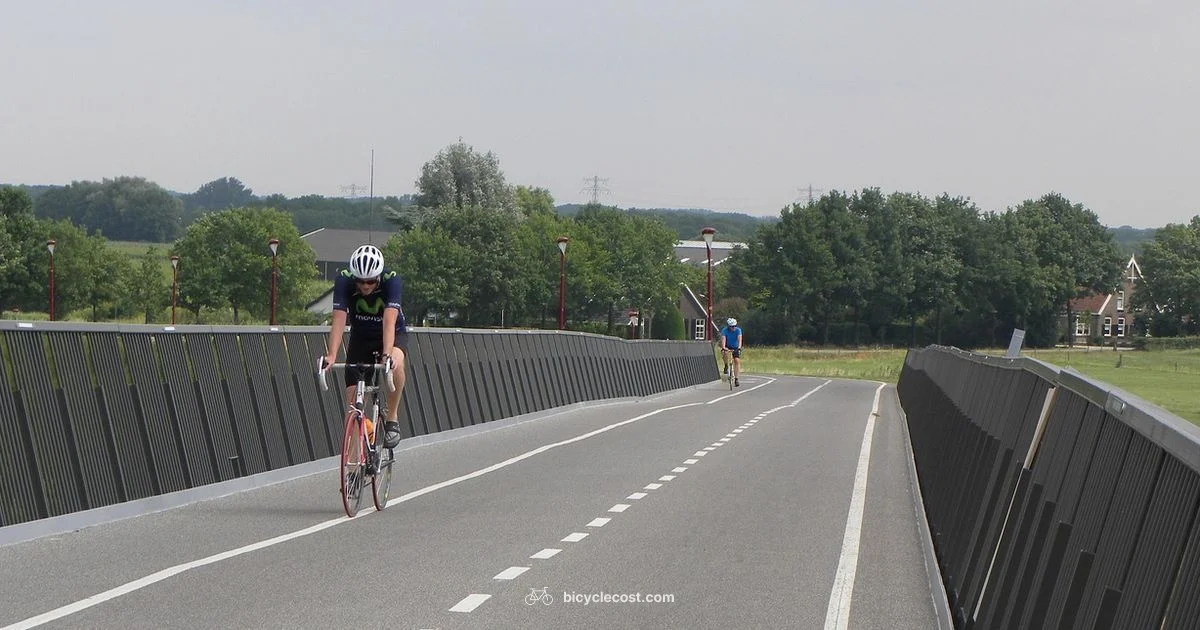 Expired Bike Registration - BicycleCost