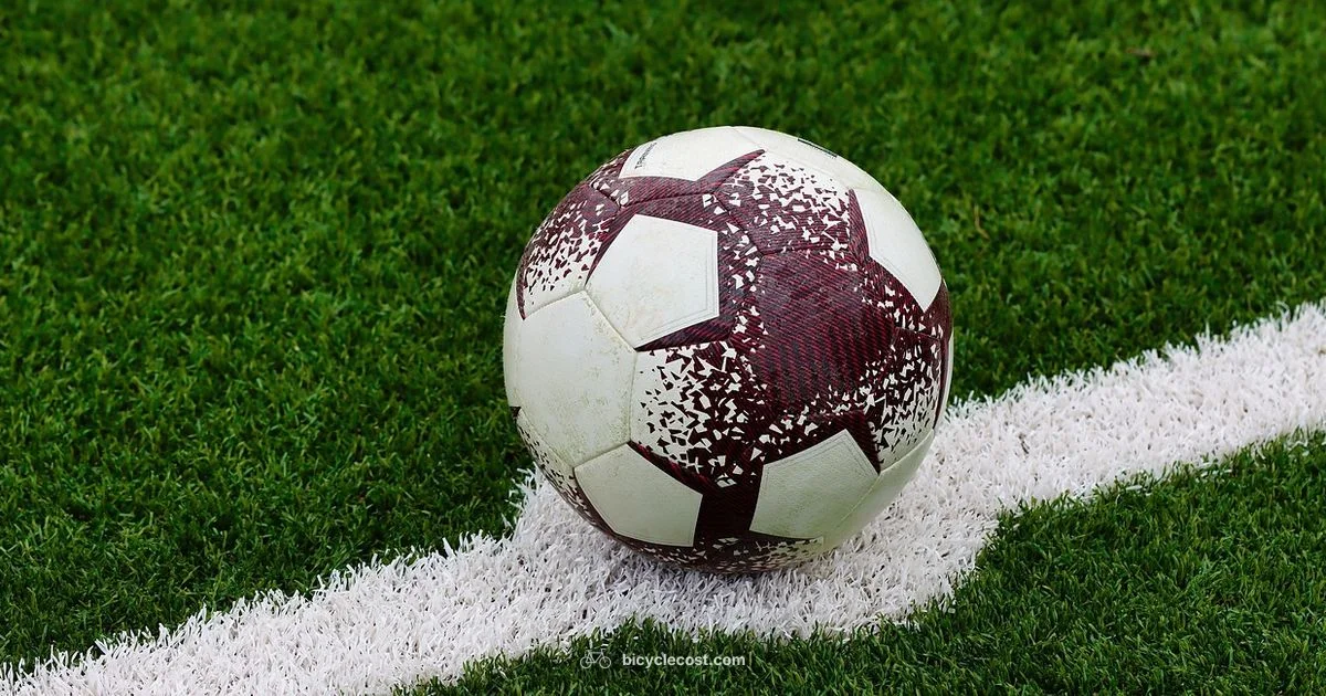 Best Bicycle Kick - BicycleCost