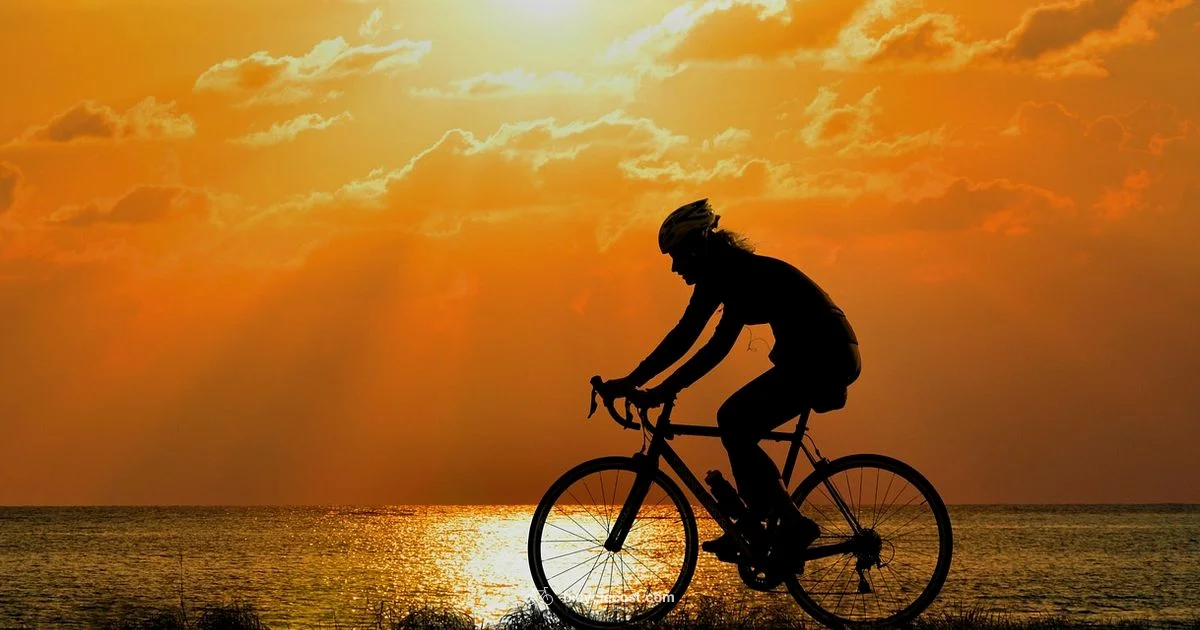 Biking Easier - BicycleCost