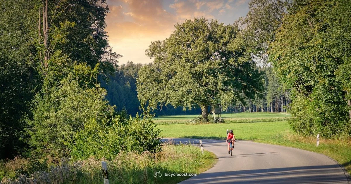 Back Pain Cycling Guide - BicycleCost