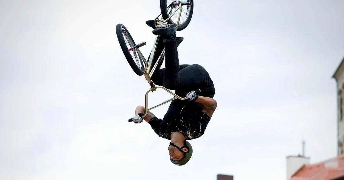 BMX Basics - BicycleCost