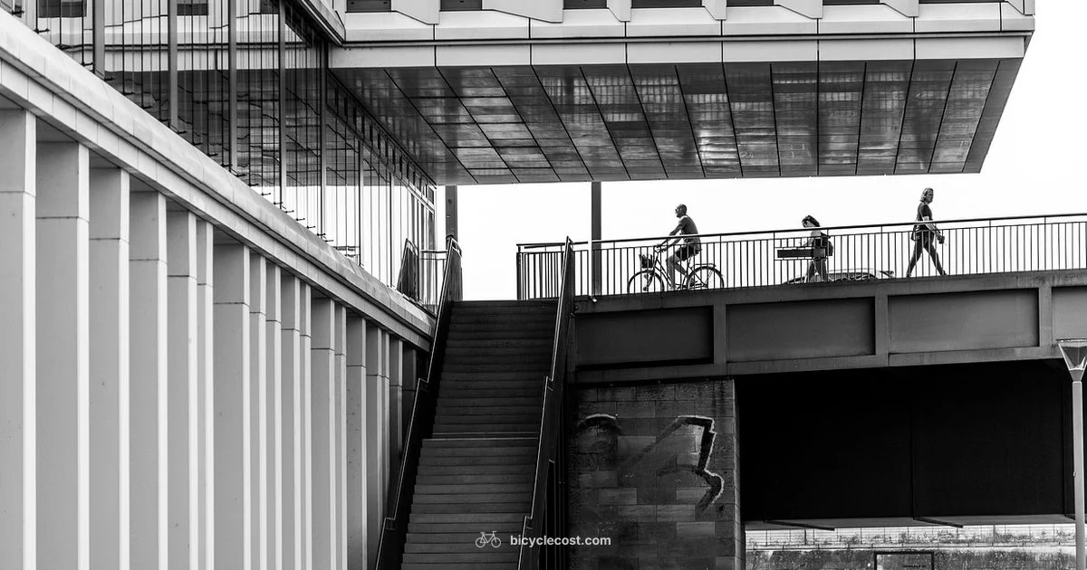 Foldable Bike Guide Foldable Bike Guide - BicycleCost