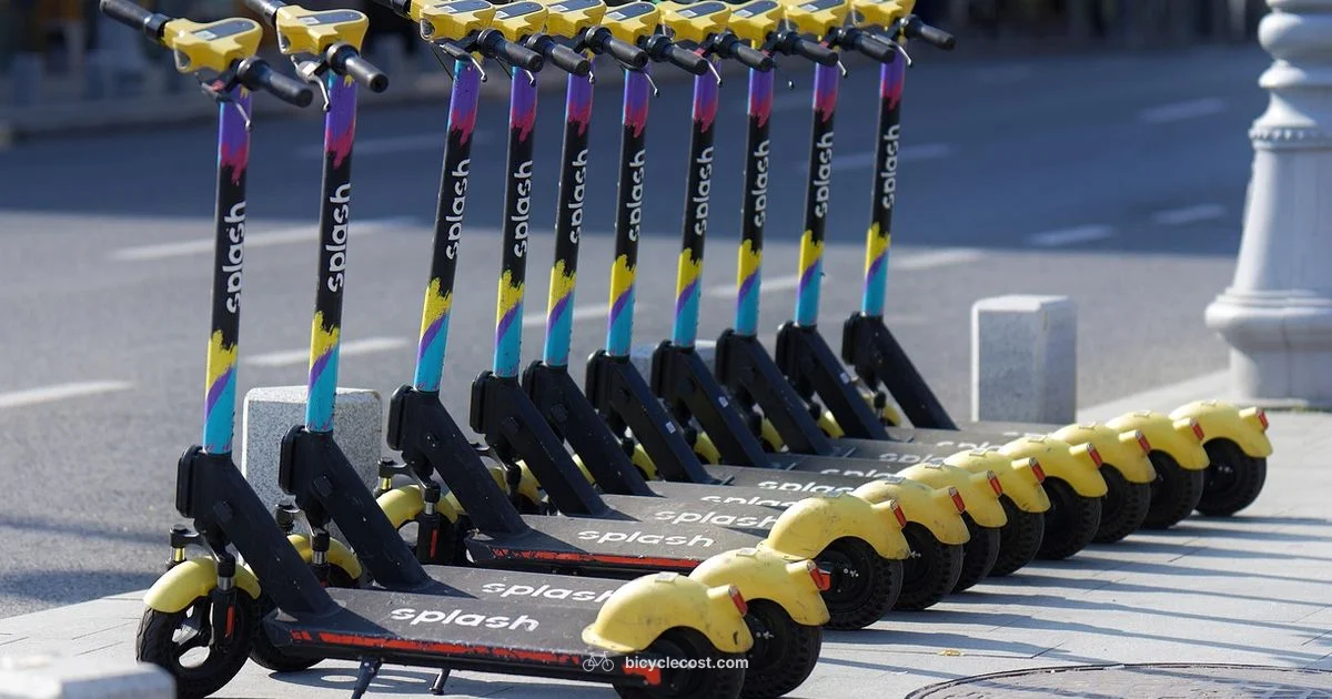 E-Bike Rentals - BicycleCost