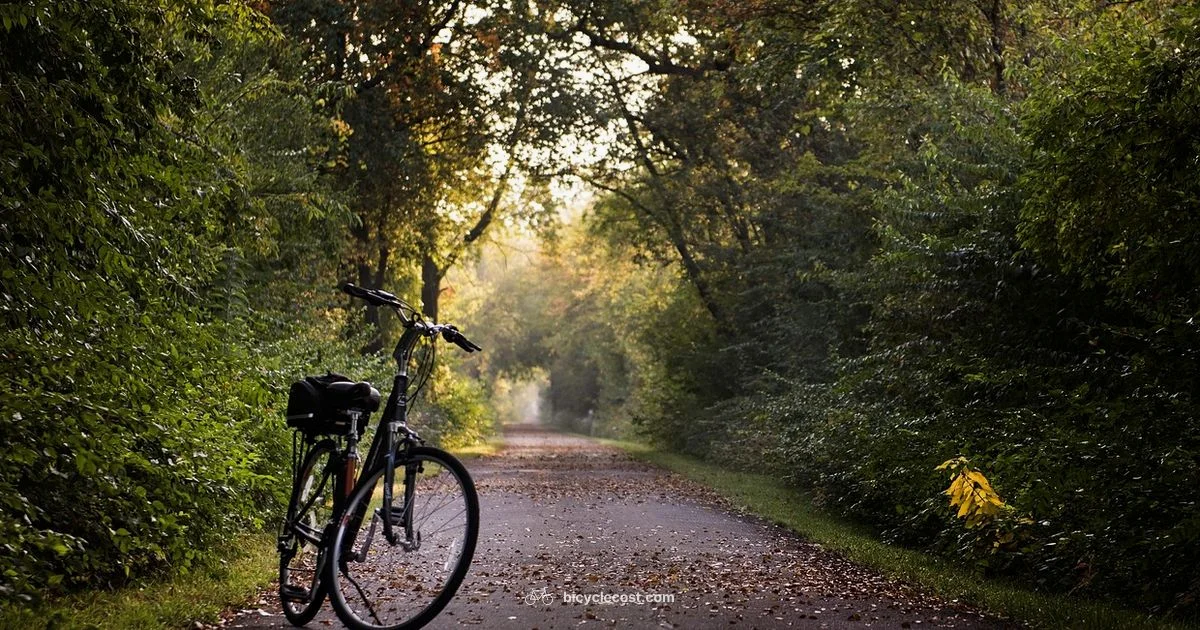 Bike Cost Guide - BicycleCost