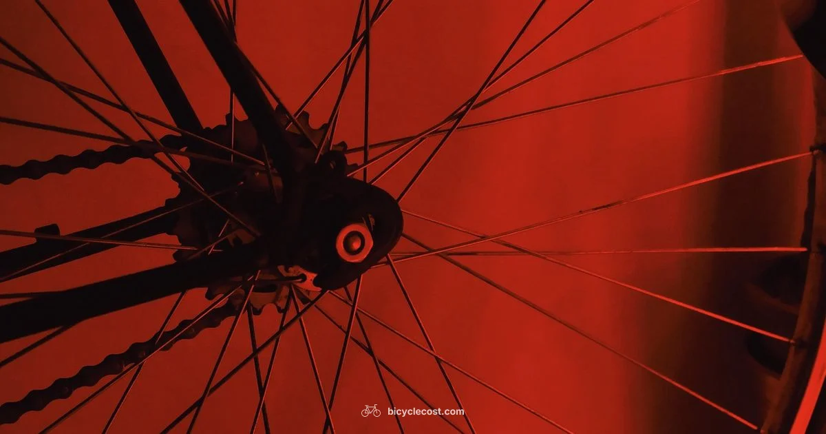 Fix Chain Skips - BicycleCost