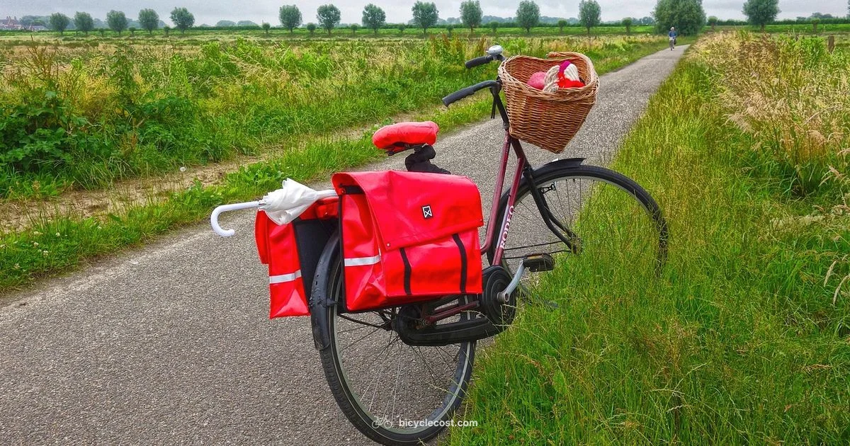 Online Bike Shop Guide - BicycleCost