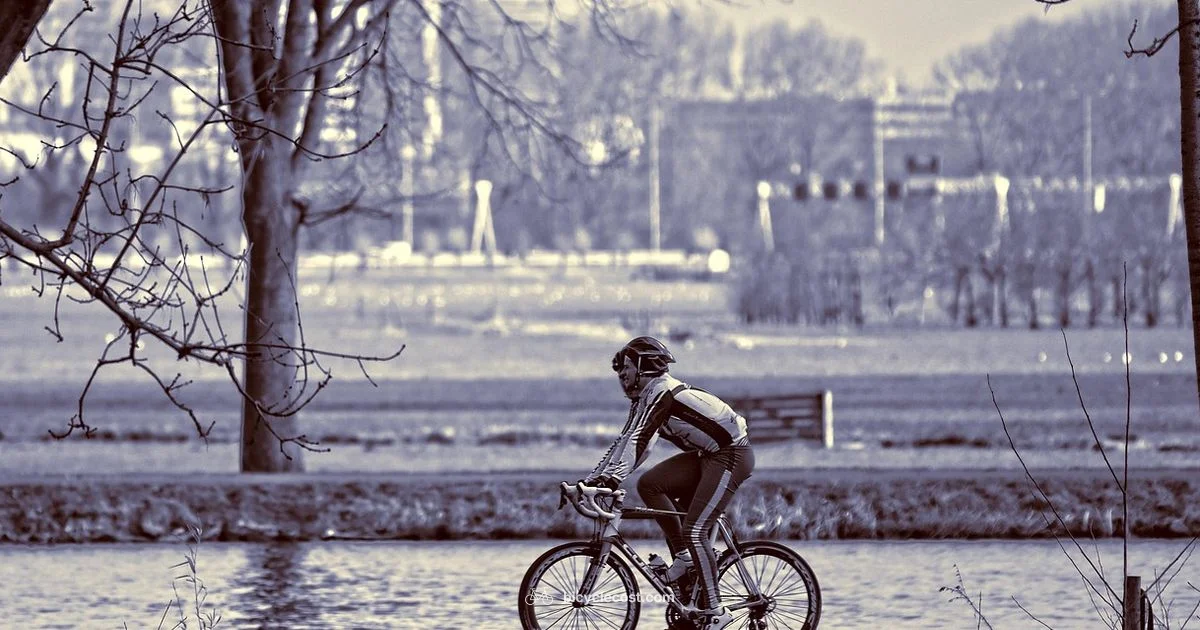 Balance on Two Wheels - BicycleCost