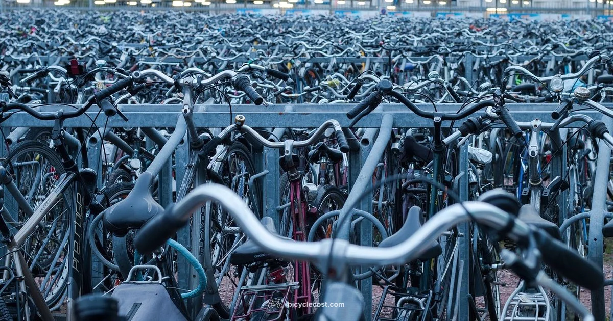 Hitch Mount Guide - BicycleCost