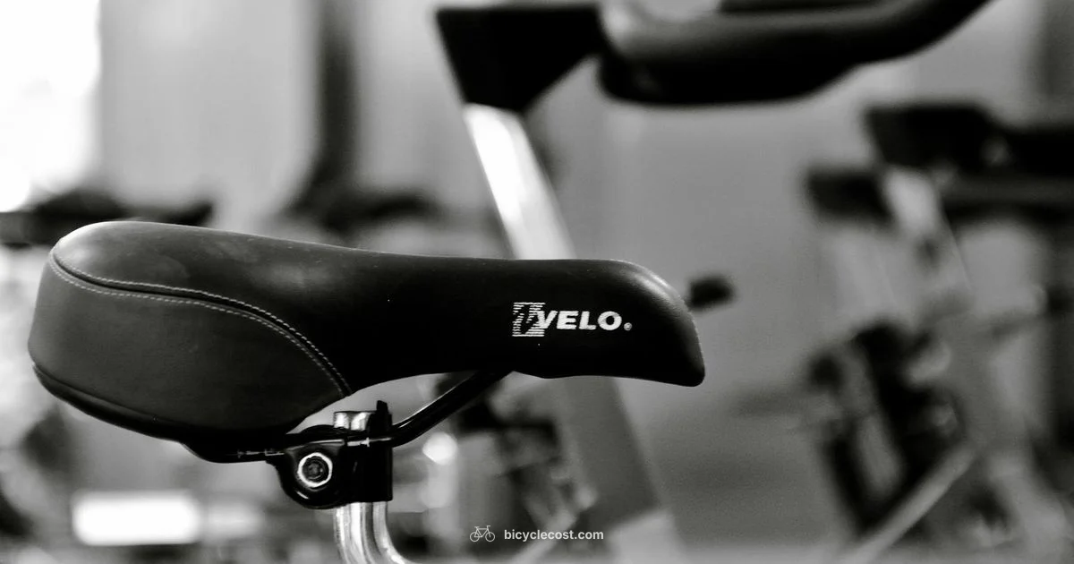 Size Matters - BicycleCost