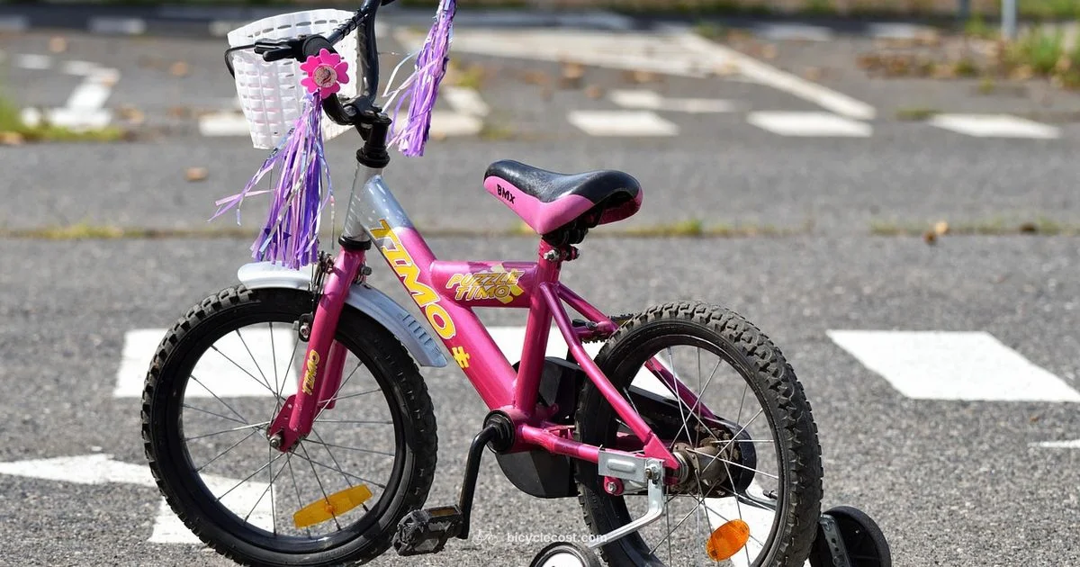 Training Wheels Guide - BicycleCost