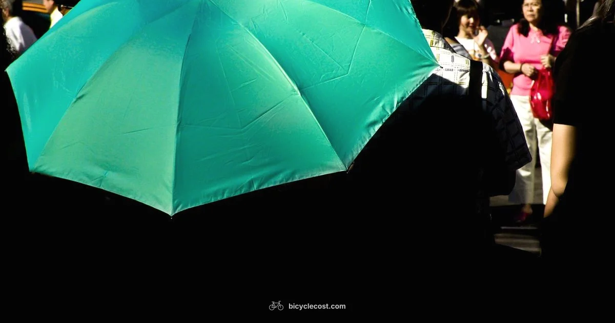 Waterproof Cover Guide - BicycleCost