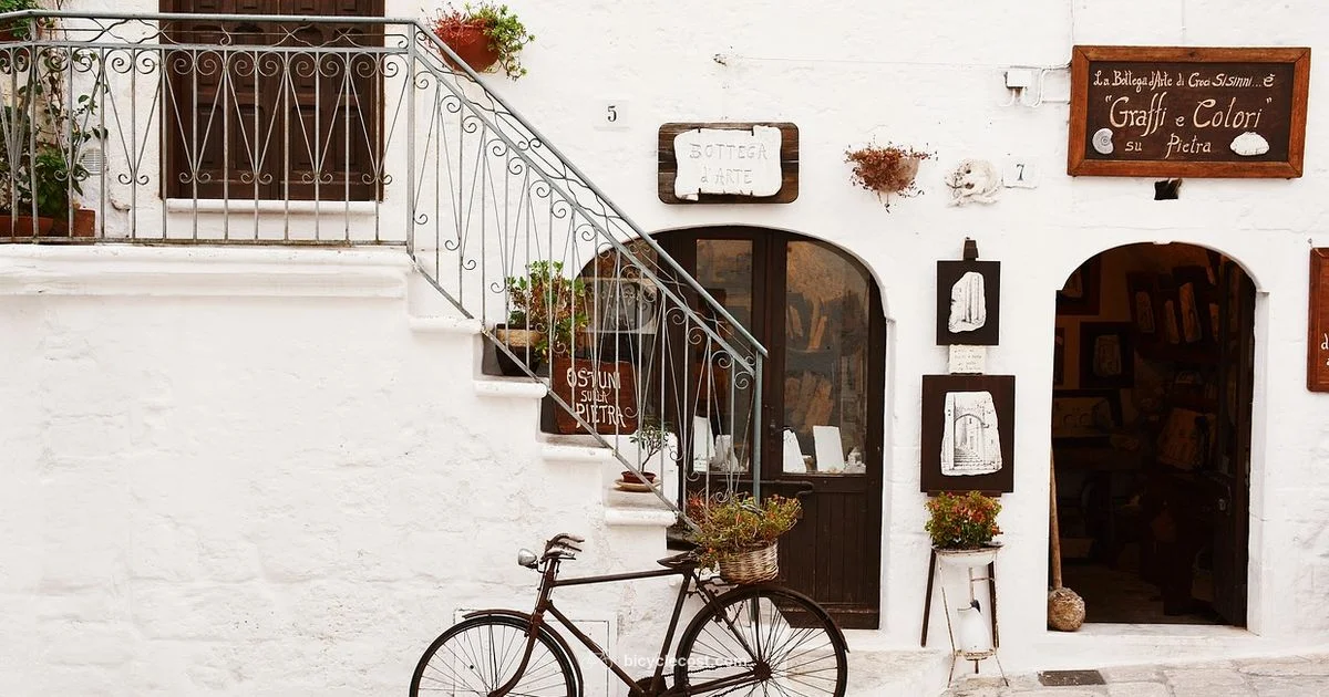 Bicycle Impact - BicycleCost