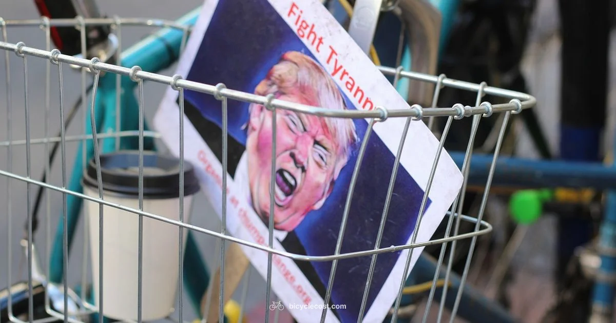 Noun Grammar Guide - BicycleCost