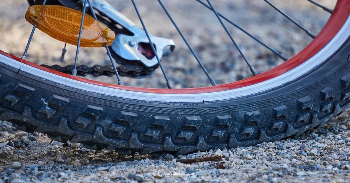 Inflate Right Today - BicycleCost