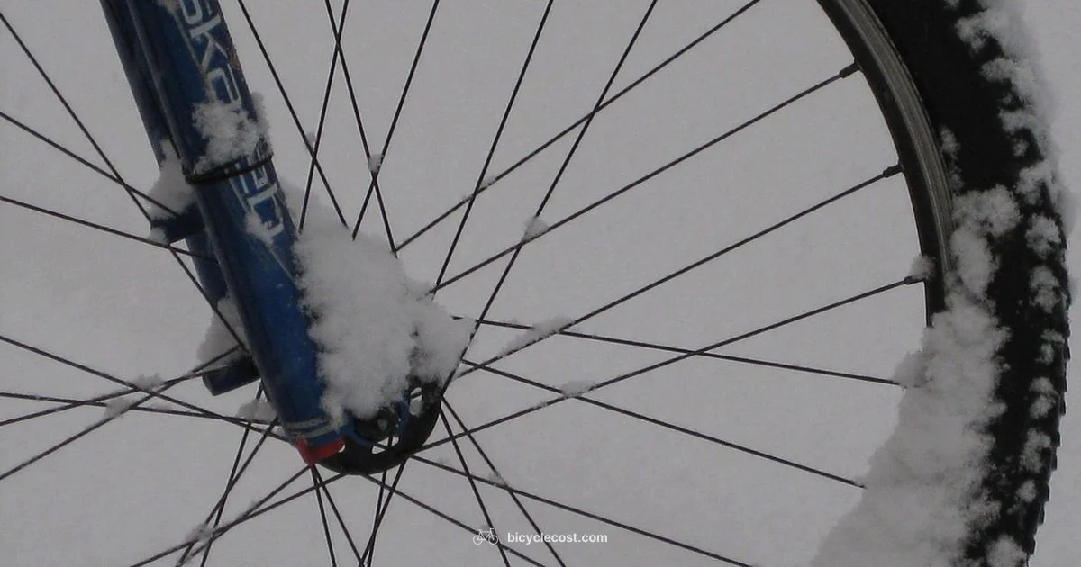 Fat Tire Guide - BicycleCost