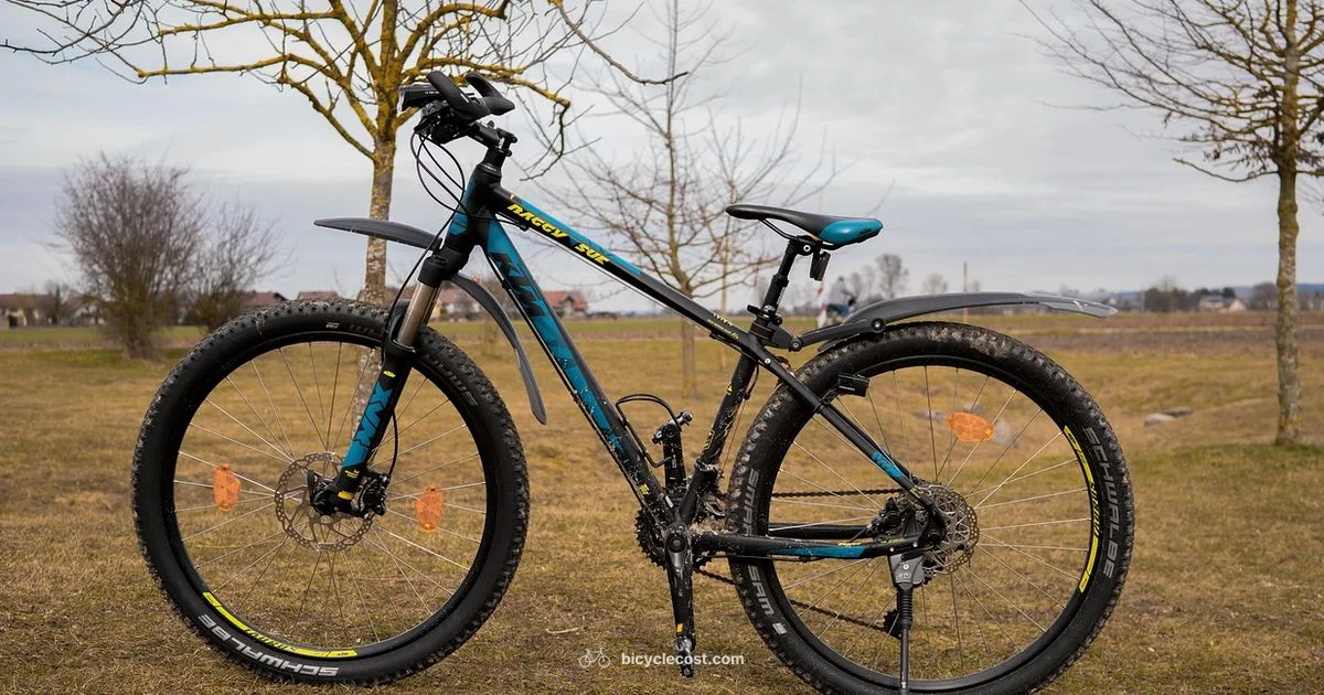 Bicycle Can Holder Guide - BicycleCost