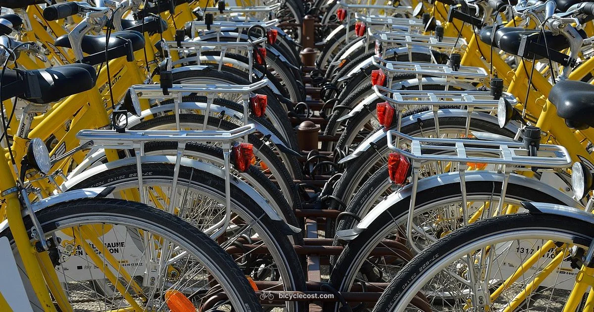 Adult Tricycle Guide - BicycleCost