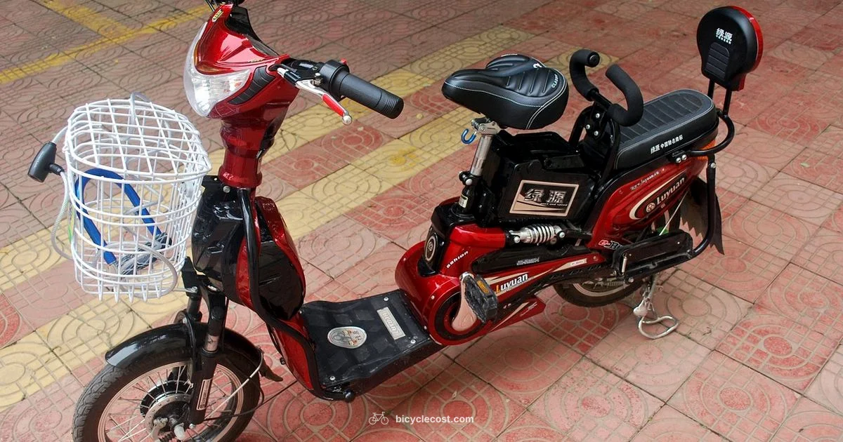 Electric Trike Guide - BicycleCost