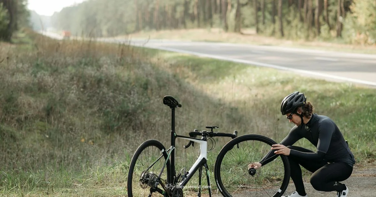 Gear Guide - BicycleCost