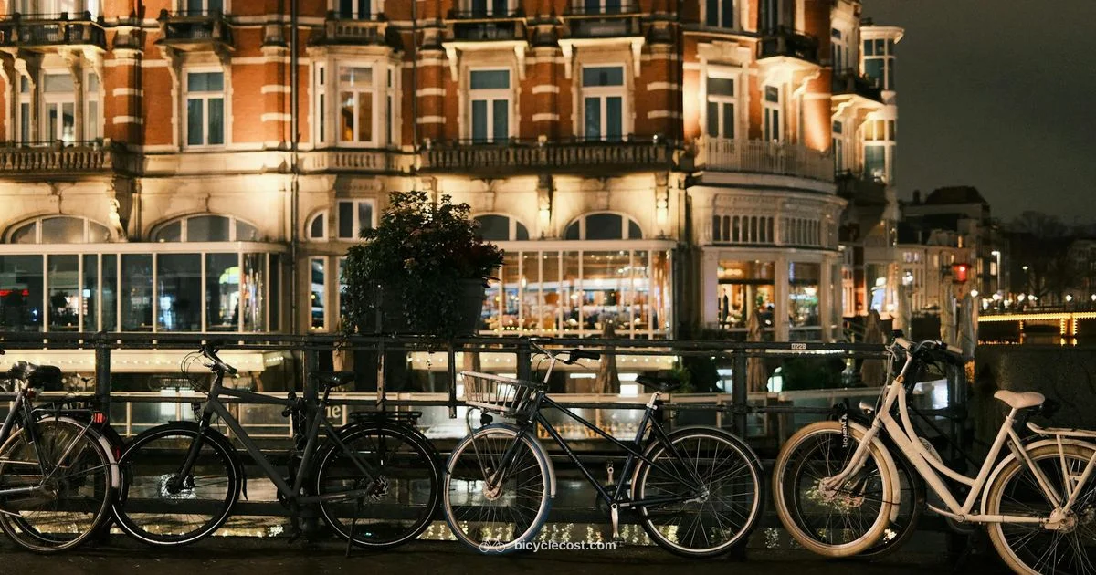 Bike Theft Defense - BicycleCost