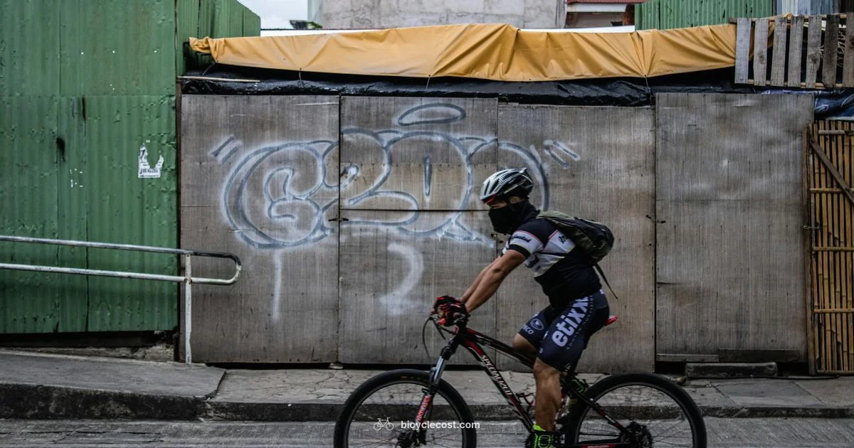 City Commute E-Bike - BicycleCost