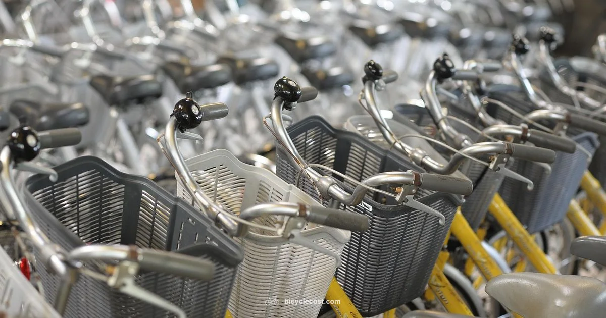 Expensive Bicycles Explained - BicycleCost