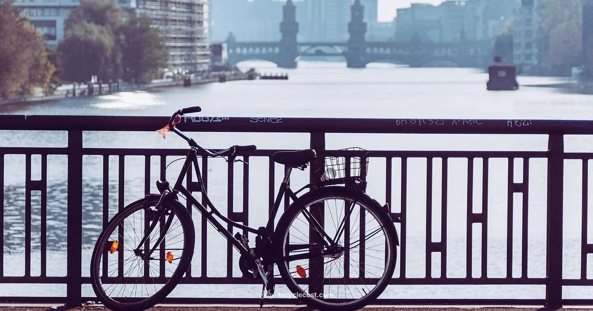 Stolen Bike Guide - BicycleCost