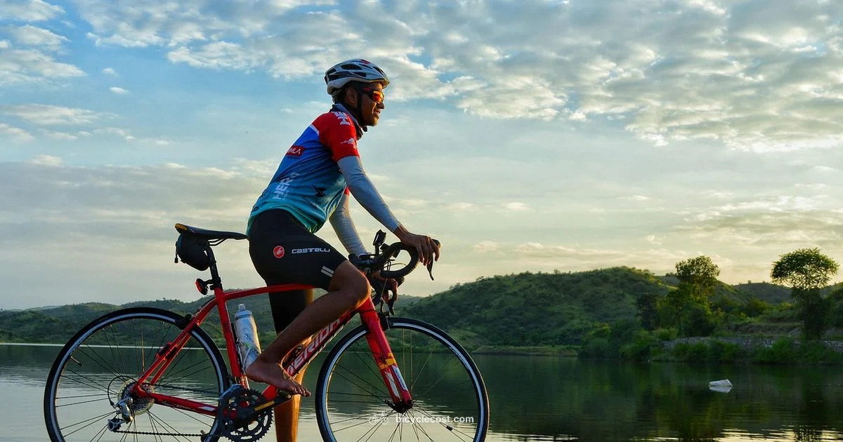 Bike Longevity Guide - BicycleCost