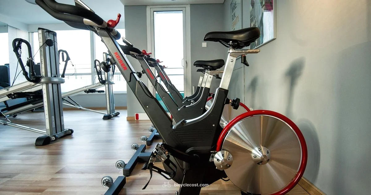 Hybrid Fitness Bike - BicycleCost