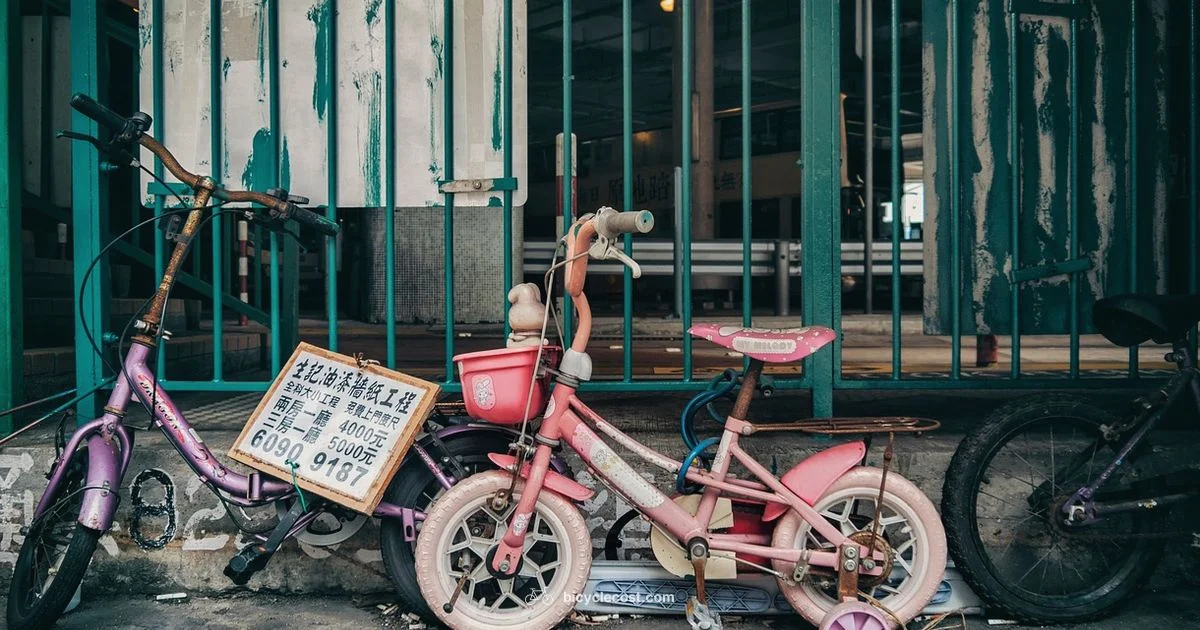 Theft-Proof Your Ride - BicycleCost