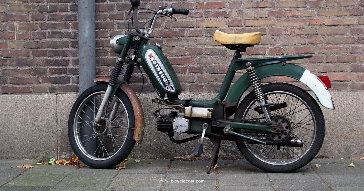 Bike vs Scooter - BicycleCost