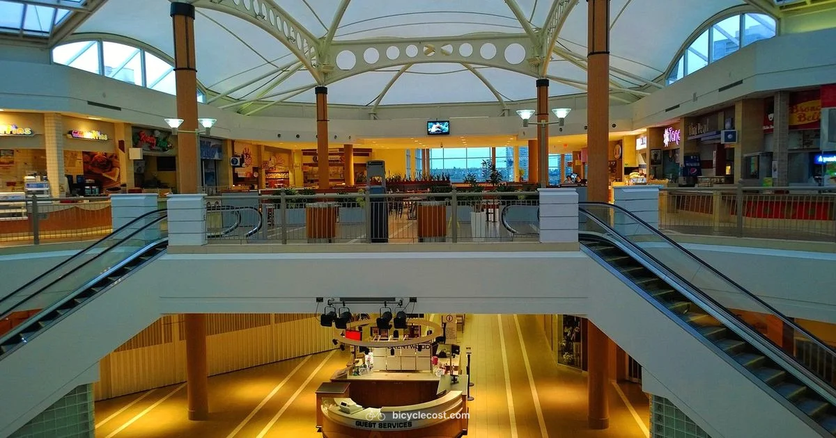 Local Boulder Bicycle Shop - BicycleCost