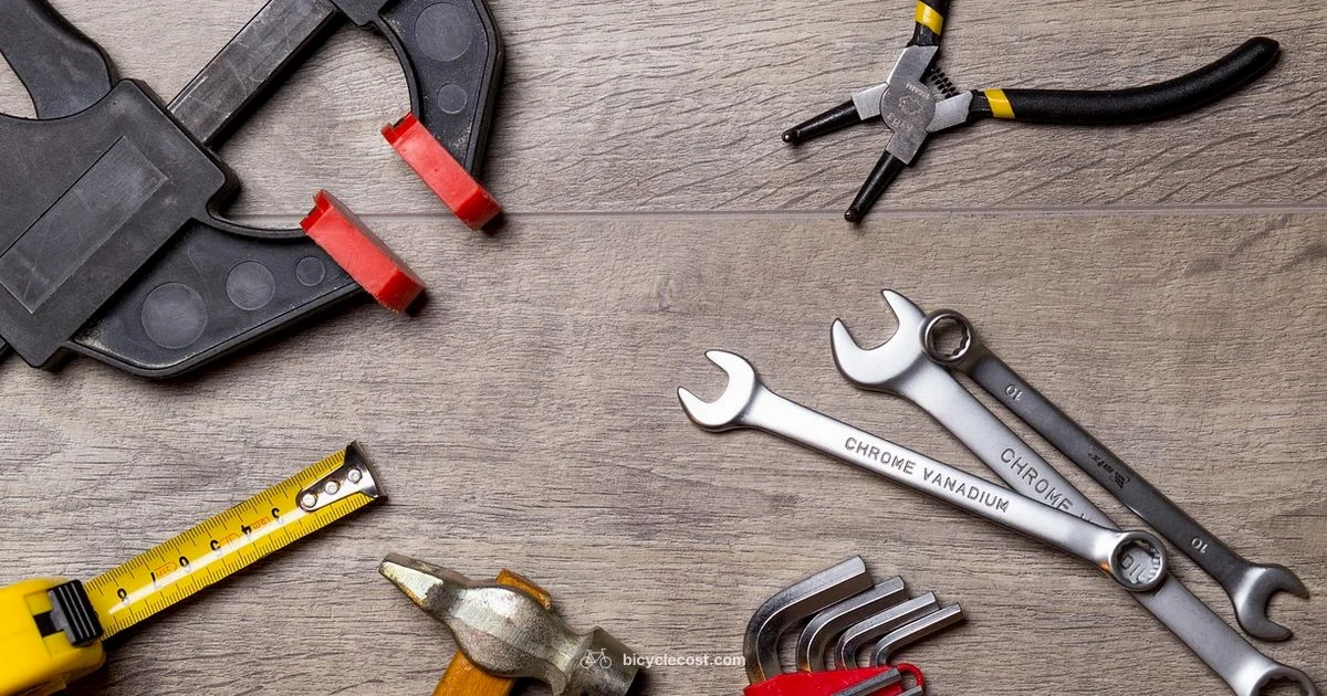 Nearby Mechanics Guide - BicycleCost