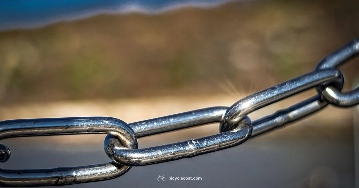 Chain Tool Guide - BicycleCost