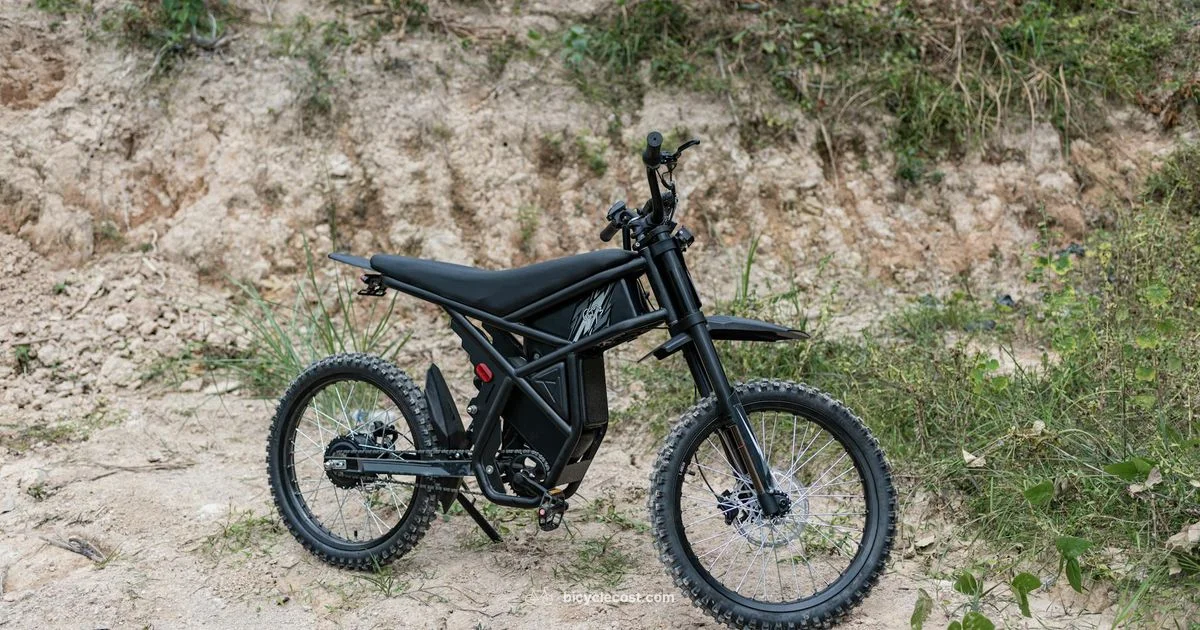 Giant Electric MTB Guide - BicycleCost