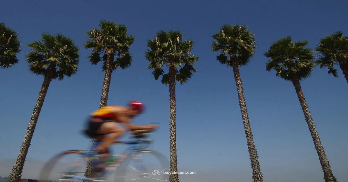 Electric Bicycles in SD - BicycleCost