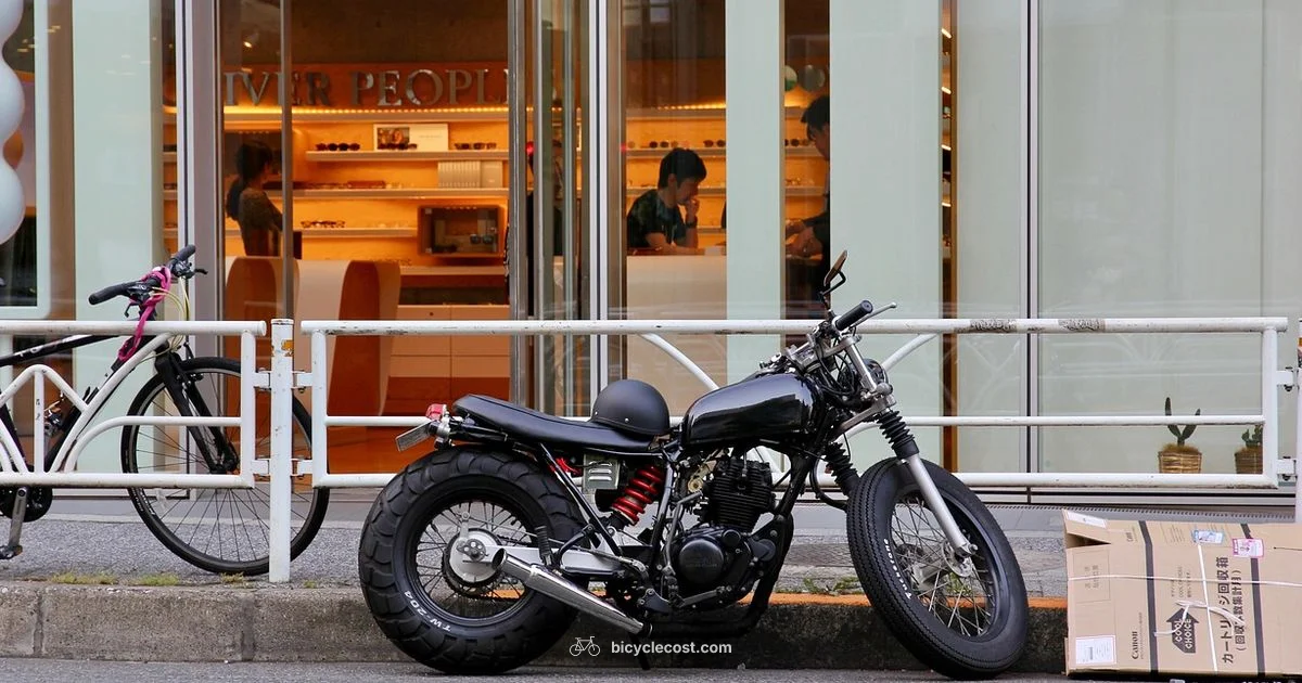 Best Bicycle Guide - BicycleCost