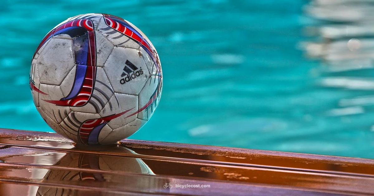 Iconic Bicycle Kick - BicycleCost