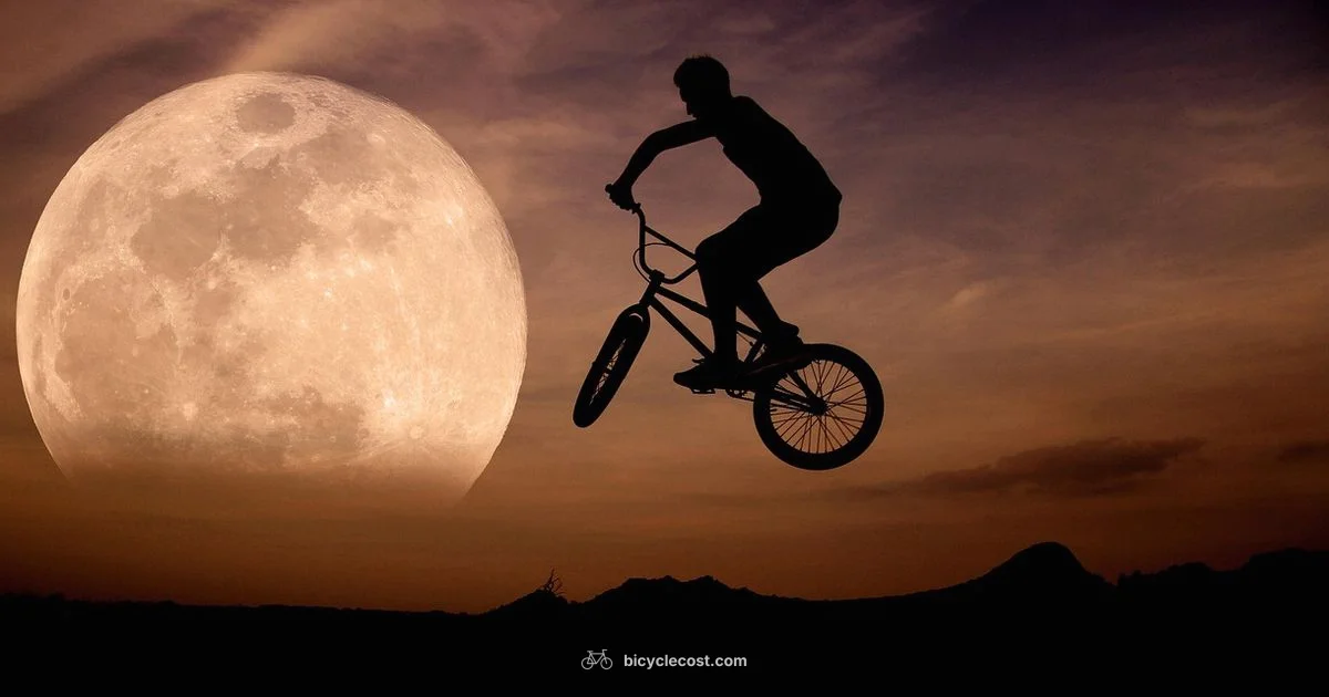 Greener Bike Choices - BicycleCost