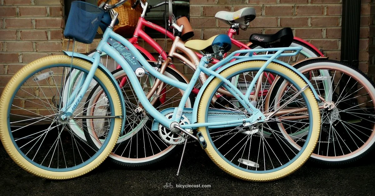 Cruiser Guide for Women - BicycleCost