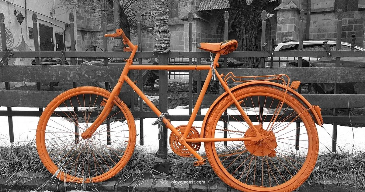 Local Rack Guide Local Rack Guide - BicycleCost