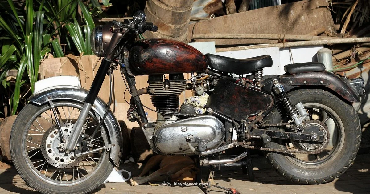 Bike Tire Guide - BicycleCost