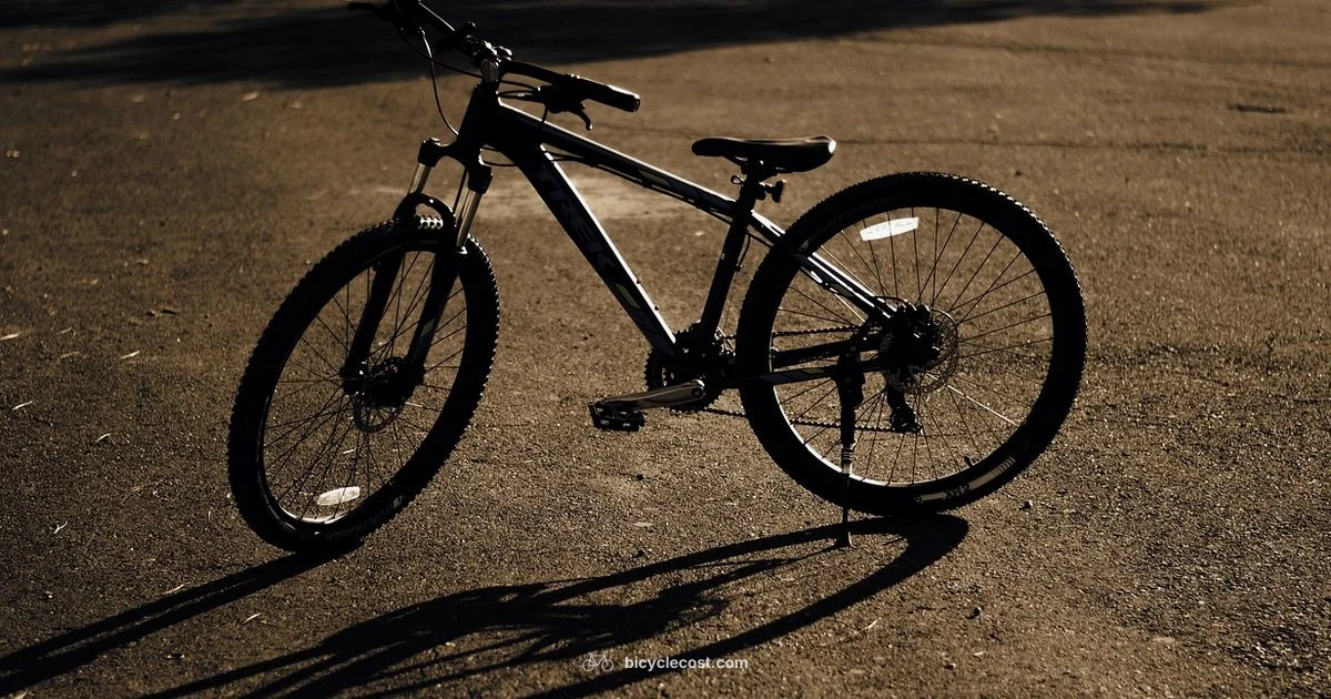 Size Matters - BicycleCost