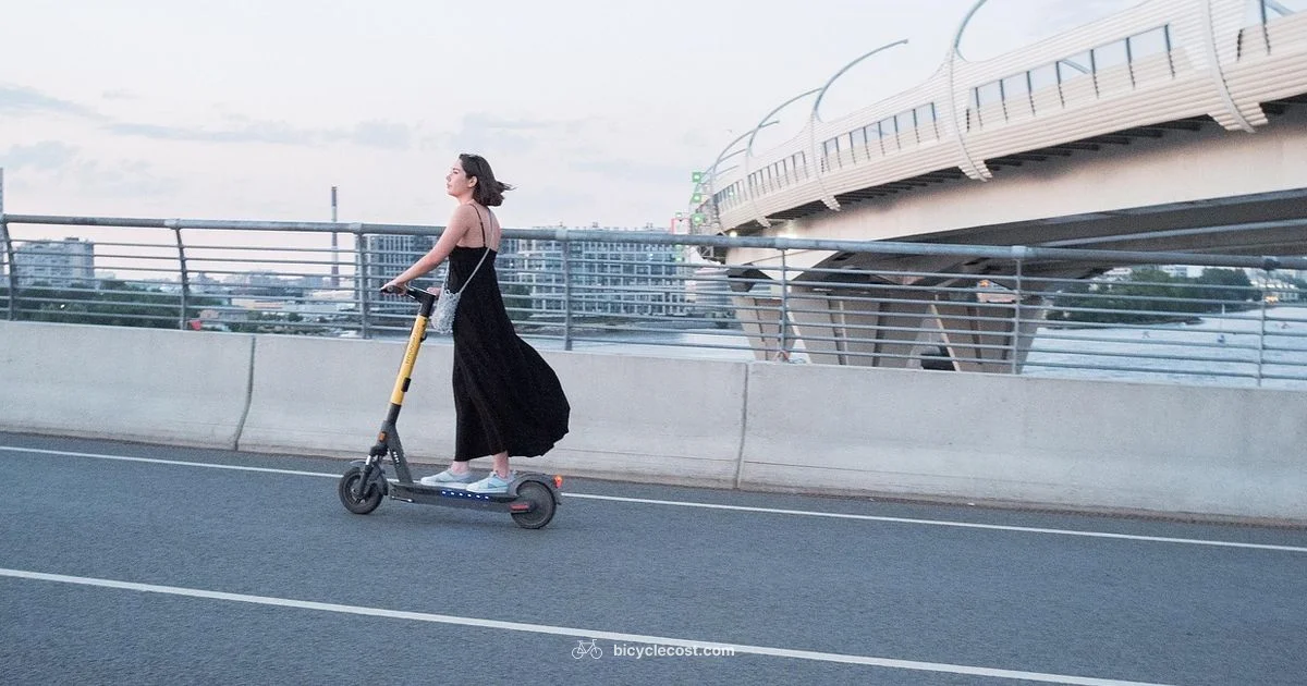 Electric Bike Guide - BicycleCost