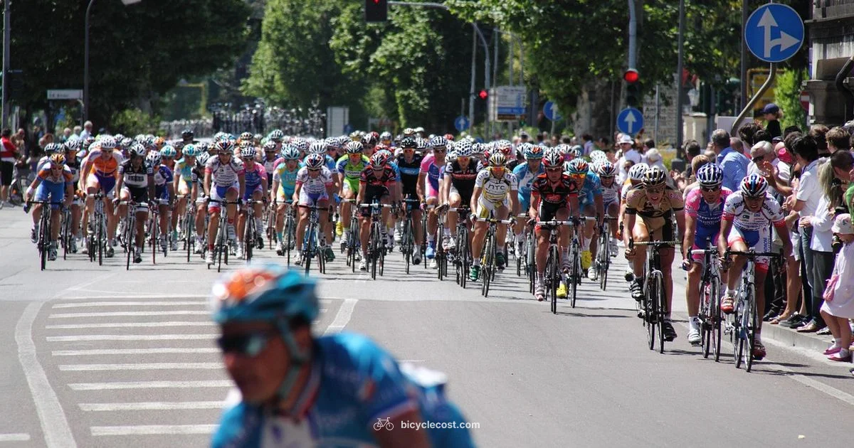 Bicycle Club Guide Bicycle Club Guide - BicycleCost